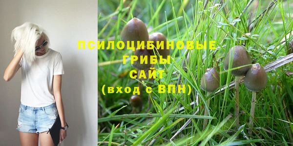 молекула духа Магадан